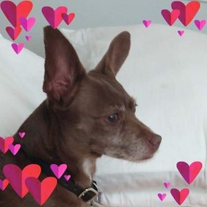 Meet your Posher, Nikki